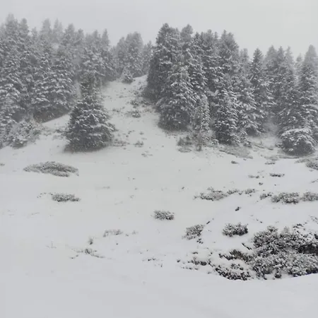 Bed and Breakfast Chateau Rustiques Dans Un Ancien Donjon Montégut