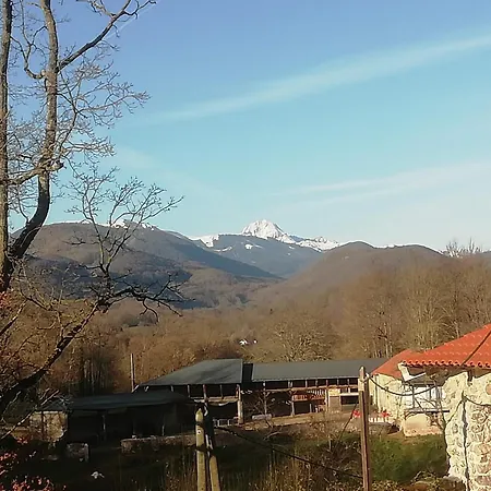 Chateau Rustiques