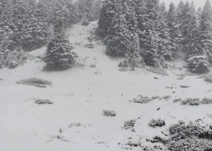 فندق مبيت وإفطار Chateau Sejour Rustique En Tour Du Xiiie Siecle Montégut