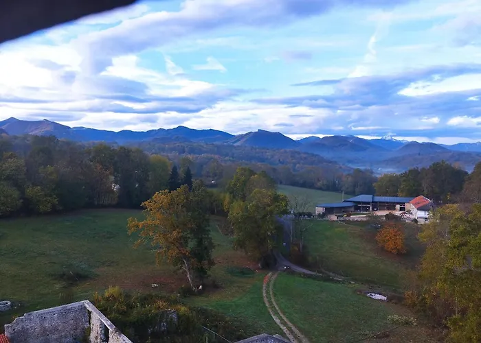 Chateau Sejour Rustique En Tour Du Xiiie Siecle 3*